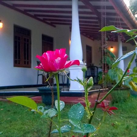 Danara Homestay Sigiriya Buitenkant foto