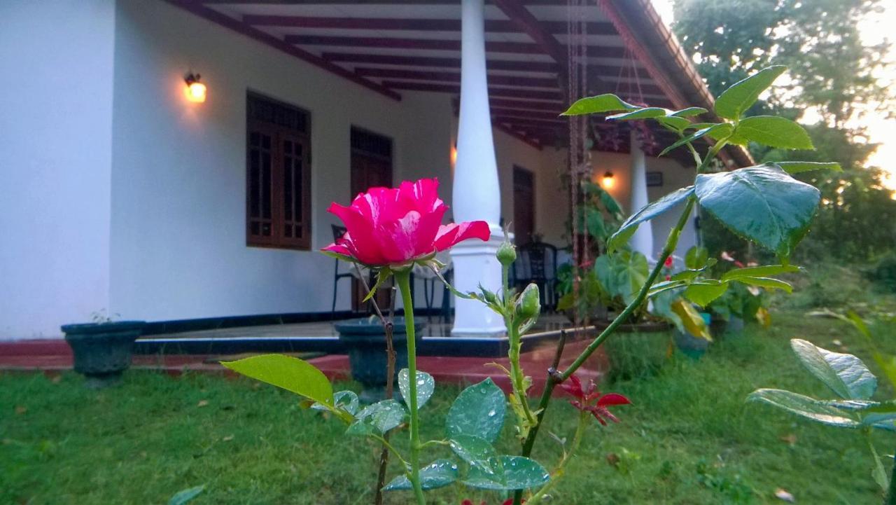 Danara Homestay Sigiriya Buitenkant foto